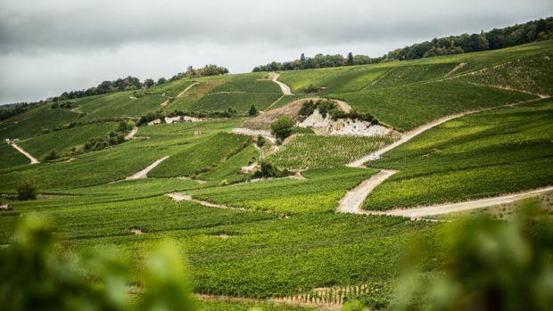 Champagne Bollinger